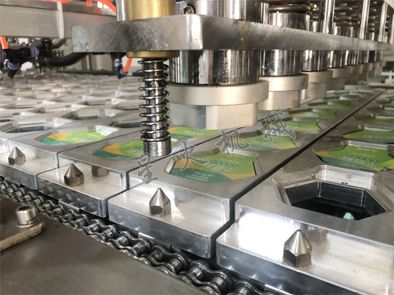 江蘇盒裝牛肉滑自動(dòng)灌裝封口機(jī)細(xì)節(jié)實(shí)拍