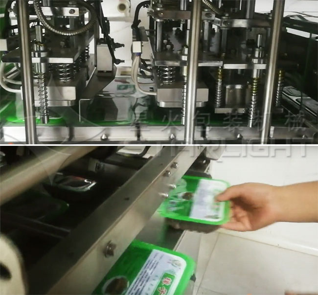 快餐盒裝封口機設備展示